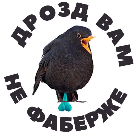 Telegram stiker «in DROZDeggs colour» 😳