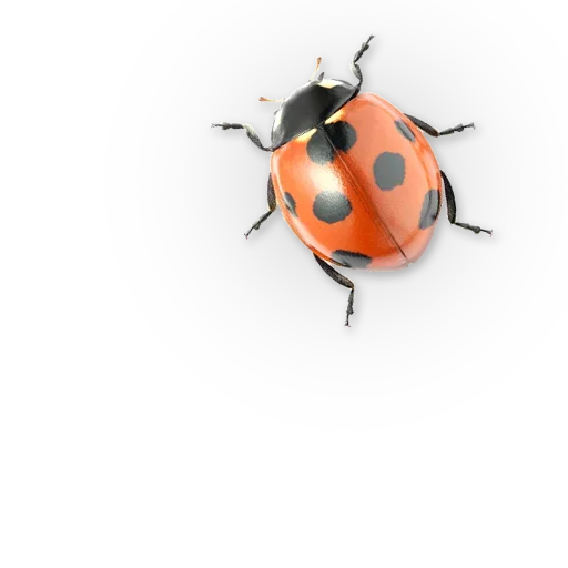 Insects emoji 🐞
