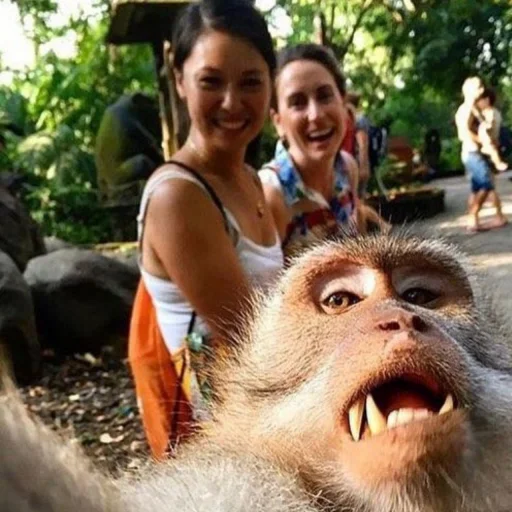 monkeys emoji 🐒