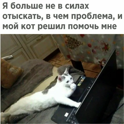 Стікер typical it 😼