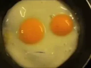 Fried Egg stiker 🍳
