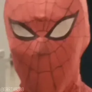 Japanese Spider Man sticker ❌
