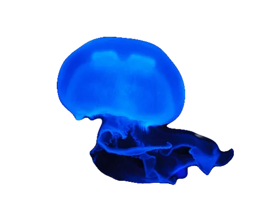 Эмодзи Jellyfish 😟