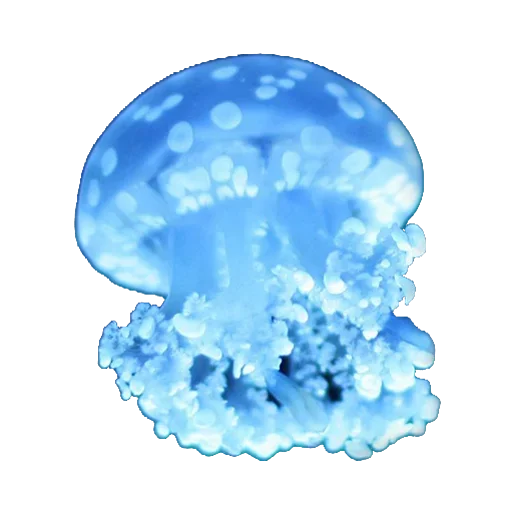 Эмодзи Jellyfish 😀