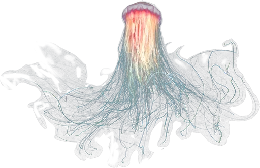 Jellyfish sticker 😜