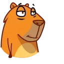 Jonny Сapybara emoji 😘
