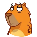 Jonny Сapybara emoji 👍