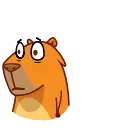 Jonny Сapybara emoji 😨
