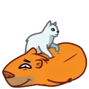 Jonny Сapybara emoji 💆‍♂️