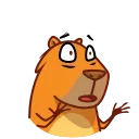 Jonny Сapybara emoji 😣