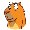 Jonny Сapybara emoji 😬