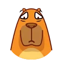 Jonny Сapybara emoji 😭