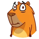 Jonny Сapybara sticker 🙂