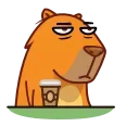 Jonny Сapybara emoji 😡