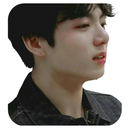 Jung-kook / bts sticker 😭