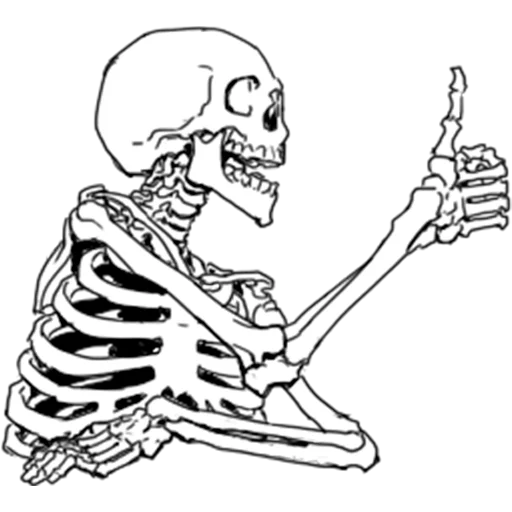 Telegram Sticker «Груда костей | Skulls» 👍