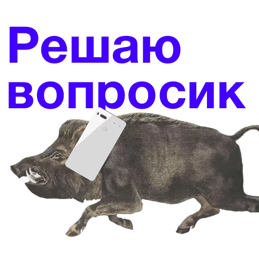 Telegram stiker «Kabanchikom» 