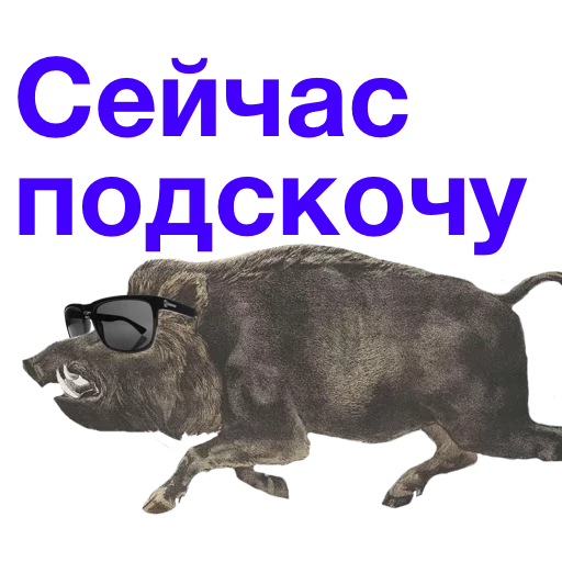 Telegram stiker «Kabanchikom» 🐗