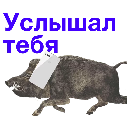 Стикер Telegram «Kabanchikom» 