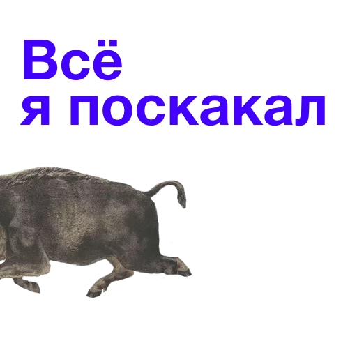 Telegram Sticker «Kabanchikom» ⛹