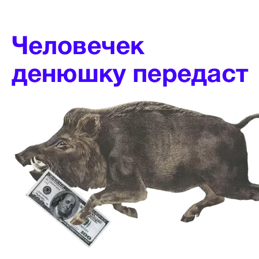 Telegram stiker «Kabanchikom» 