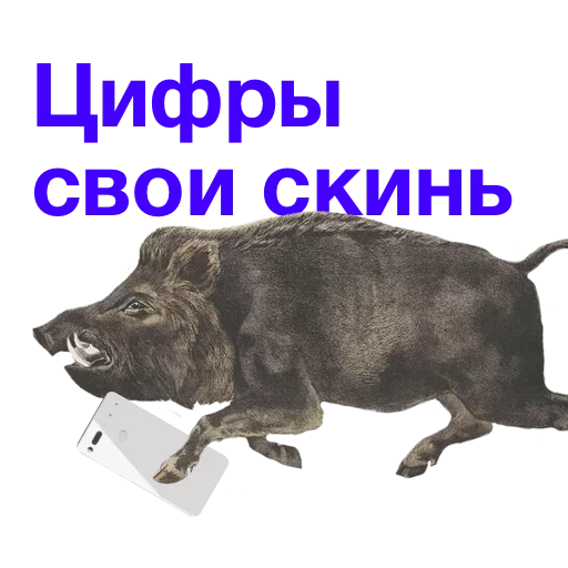Telegram stiker «Kabanchikom» 📥