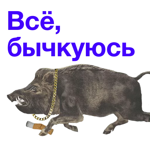 Telegram Sticker «Kabanchikom» ✊