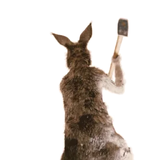 Kangaroo for emoji 🤬