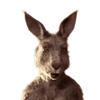 Kangaroo for emoji 👋