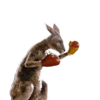 Kangaroo for emoji 😤