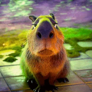 Капибара/Capybara emoji 💇