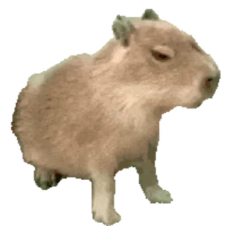 Капибара/Capybara emoji 🦫