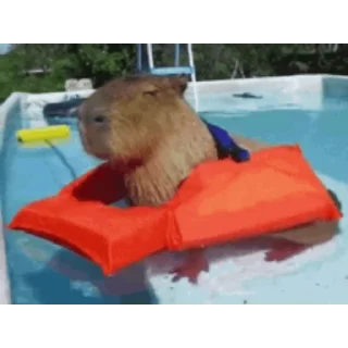 Эмодзи Капибара/Capybara  🦫