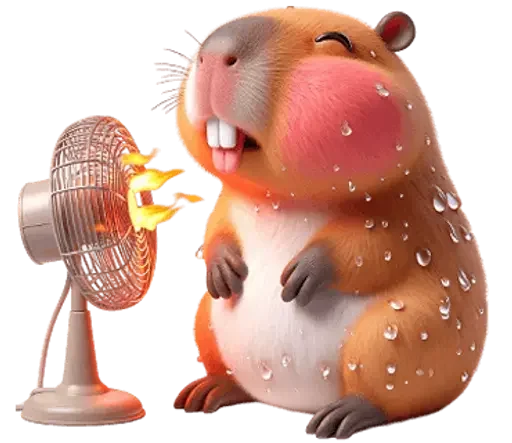 Kapi Sticker Kapi Capybara Telegram stickers