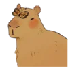 Эмодзи телеграм 🐹 Capybara 🐹