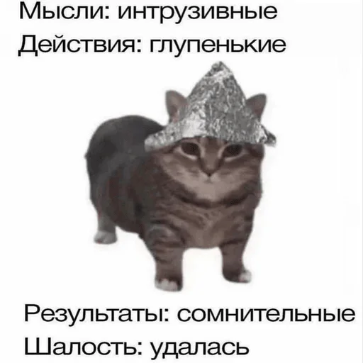 Telegram Sticker «Котики» ✨