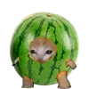 Telegram emojisi «Kitten Fruits Vegetables» 🍉