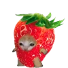 Kitten Fruits Vegetables emoji 🍆