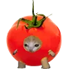 Kitten Fruits Vegetables emoji 🍔