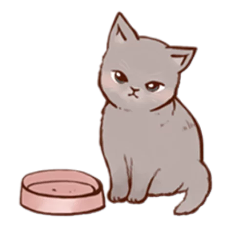Kitten daily 🐈 stiker 😥