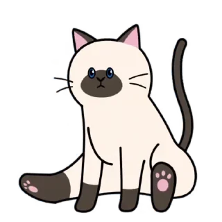 Kitties emoji 🤔