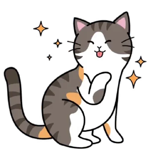 Kitties emoji 😝
