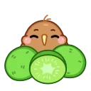 Птичка Киви emoji 👀