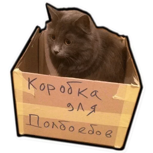 Telegram stiker «Коробка для Долбоебов» 😤