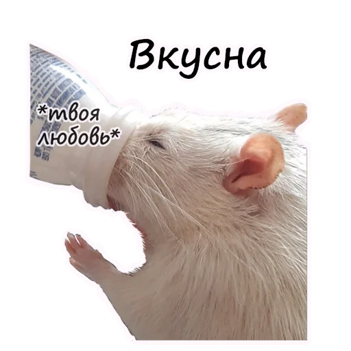 Telegram Sticker «Ёся» 🥣