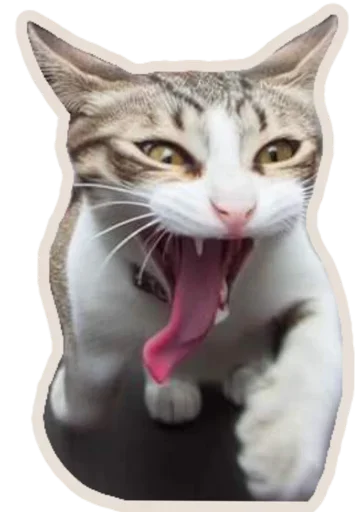 Telegram stiker «Kucing» 🐈