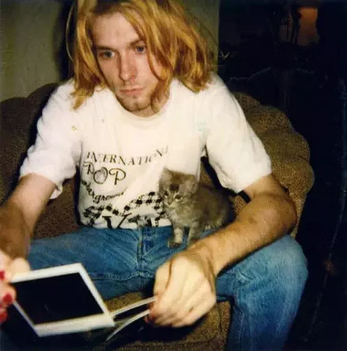 Стікер Kurt Cobain ❓