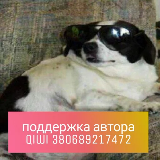 Telegram Sticker «КотикЦмок» 