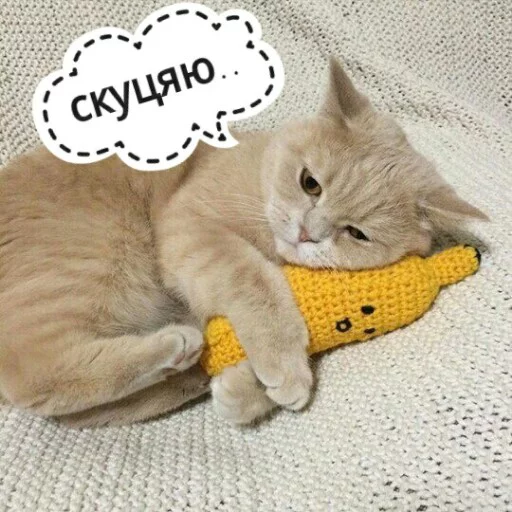 КотикЦмок2 emoji 