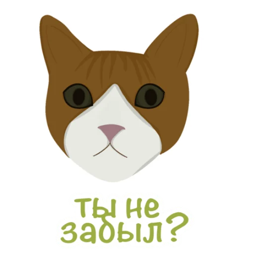 katosik_adventuretime emoji 😺